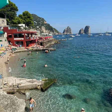 Lyla * Capri